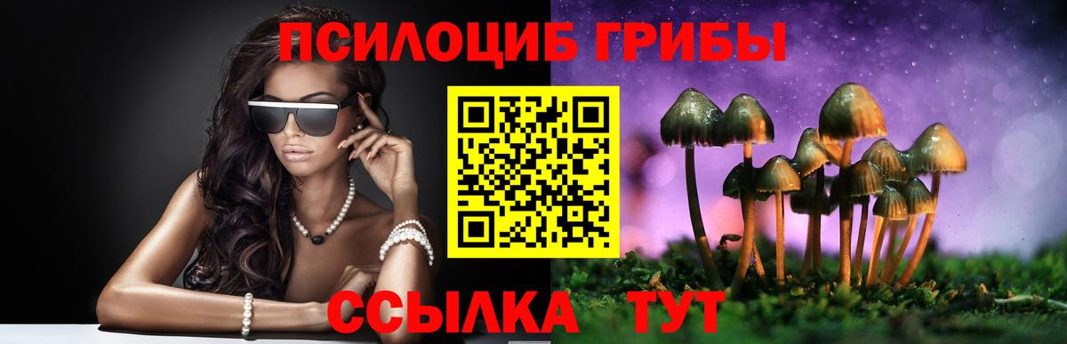 Псилоцибиновые грибы MAGIC MUSHROOMS Тосно